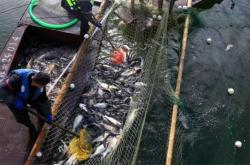 赤峰紫蒙湖路況查詢電話號碼