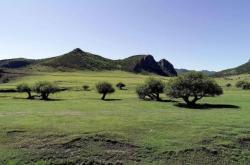 赤峰玉龍無人機(jī)廠家電話號碼