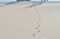 赤峰牛大骨餐館電話號(hào)碼多少