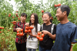 赤峰市貧困縣名單