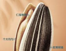 赤峰瓜子盒裝廠家電話多少號(hào)