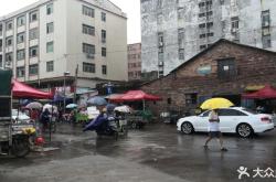 赤峰栗子開(kāi)門(mén)批發(fā)電話號(hào)碼是多少