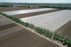 赤峰太平地鎮(zhèn)農(nóng)業(yè)局電話號碼