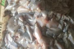 赤峰速凍牛蛙批發(fā)電話多少號