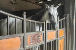 赤峰市區(qū)恐龍公園電話多少號(hào)