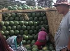赤峰八斤飯店地址電話查詢號(hào)碼