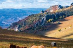 赤峰市旅游局的電話號(hào)碼