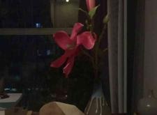 赤峰匯纖紋繡店地址電話號碼