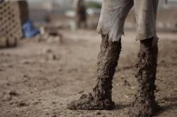 赤峰純泥磚廠地址電話查詢號(hào)碼