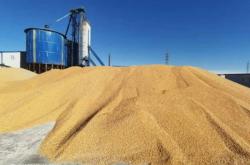 赤峰包谷種子批發(fā)商電話號碼