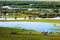 赤峰蒙冠大豆油代理電話號(hào)碼