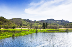 赤峰石柱新聞網(wǎng)官網(wǎng)電話號碼