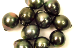 赤峰寧城縣黑珍珠酒店電話號(hào)碼