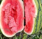 赤峰優(yōu)旅優(yōu)品電話多少號