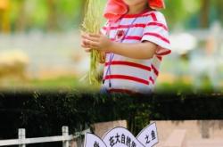 赤峰下店子露營地址電話號碼