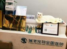 赤峰新城巴迪寵物貓電話號碼