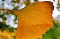 赤峰靜姐貼膜店電話地址查詢