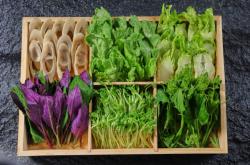 赤峰美食火鍋店電話多少號(hào)