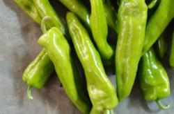 赤峰新新蔬菜批發(fā)電話多少