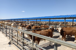 赤峰眾信國旅酒店電話地址查詢