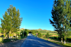 赤峰到沈陽冷鏈運輸電話號碼