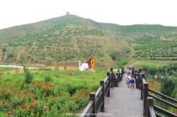 赤峰花海生產(chǎn)商電話地址查詢