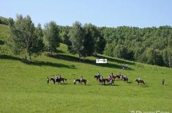 赤峰樂(lè)美寵物店地址電話(huà)號(hào)碼