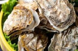 赤峰市蠔友匯訂餐電話地址