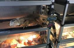 赤峰市爬蟲館電話多少號