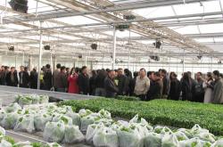 赤峰昊鼎財(cái)務(wù)咨詢公司電話號(hào)碼