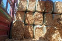 赤峰柔絲麥草專賣店電話號碼