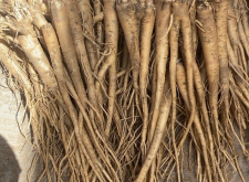 赤峰豬板油批發(fā)電話號碼查詢