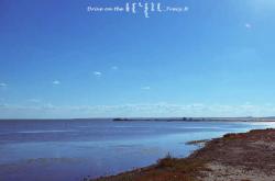 赤峰樂酷寵物店地址電話號(hào)碼