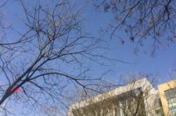 赤峰二中政教處電話號(hào)碼