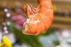 精河日料赤峰店電話多少號(hào)