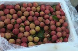 赤峰水果荔枝批發(fā)市場(chǎng)電話號(hào)碼