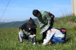 赤峰新遠(yuǎn)木器廠地址電話號(hào)碼