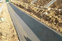 赤峰鏈條挖溝機(jī)廠家電話號(hào)碼