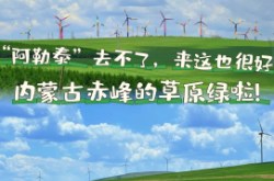 赤峰崔師傅辣串店電話地址查詢