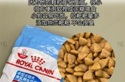 赤峰狗狗代養(yǎng)公司電話多少號