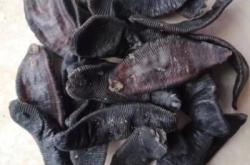 赤峰黑螞蟻合唱團(tuán)招聘電話號(hào)碼