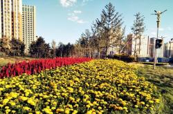 赤峰園林工程有限公司電話號(hào)碼