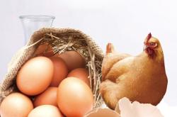 赤峰寵物狗糧廠家電話號(hào)碼