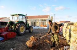 赤峰羊場加油站電話地址查詢