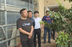 赤峰市城管電話號碼