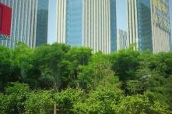 赤峰市紅山區(qū)家政電話號(hào)碼