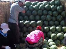 赤峰市木頭溝鄉(xiāng)政府電話號(hào)碼