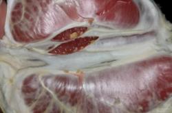 赤峰小李家辣條電話號碼查詢