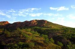 赤峰紅山區(qū)板房出租電話號(hào)碼