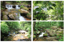 赤峰市鶴鹿溝社區(qū)電話號(hào)碼